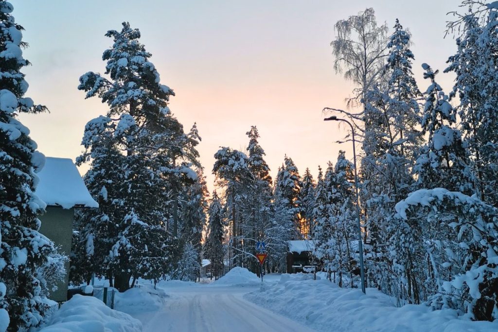 Talvinen maisema omakotitaloalueelta